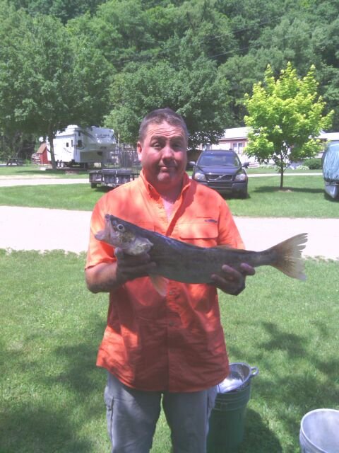 iowa walleye