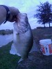 Crappie 1