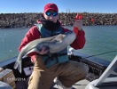 Coffey County Lake Catfish