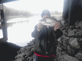 Iowa River Crappie