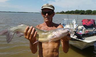 Cheney Catfish