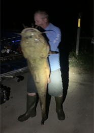 Walnut River Flathead